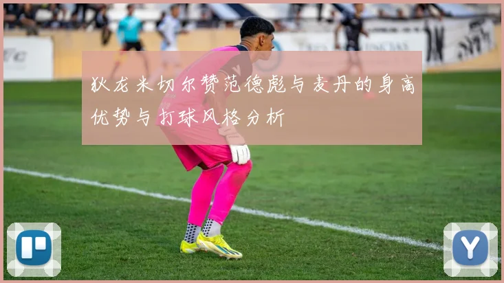 狄龙米切尔赞范德彪与麦丹的身高优势与打球风格分析